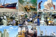 Doanh nghiệp có quyền "tự do kinh doanh" đến đâu?