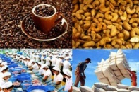 Kinh tế Việt Nam làm gì để giảm tình trạng lệ thuộc