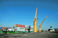 Cảng Đồng Nai kỷ niệm 25 năm ngày thành lập