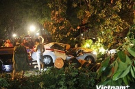 Hà Nội: tài xế taxi tử vong do bị cây đè trong cơn mưa giông lớn