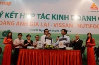 HAGL, Nutifood, Vissan bắt tay thách thức Vinamilk, TH Milk?