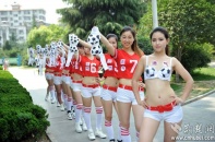 20 cô gái trẻ xinh đẹp ném áo ngực phản đối World Cup 2014