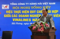 Tạm đình chỉ công tác một phó TGĐ Vinalines