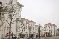 Đất nền liền kề, biệt thự lại nhiễm virut tiền chênh