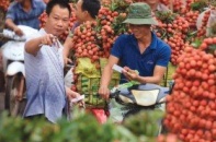 Lợi thế nào để Việt Nam giảm nhập siêu từ Trung Quốc - Bài 1