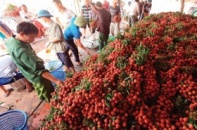 Nông sản cũng phải lo "đánh bắt xa bờ"