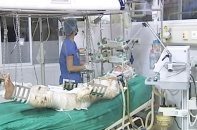Vụ rơi máy bay ở Hòa Lạc: Giám định ADN, xác định danh tính 18 chiến sĩ hy sinh