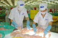 HVG phát hành 12 triệu cổ phiếu trả cổ tức 10%