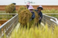 Dự án Tài chính nông thôn đầu tư tiếp 5 tỷ USD