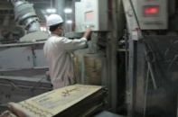 Ra mắt Ban chỉ đạo cổ phần hóa Vicem