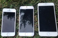 iPhone 6 sẽ có kết nối NFC và Wifi tốc độ cao