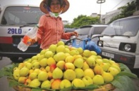 Cẩn trọng với nông sản ngoại đội lốt nội