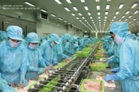 5 cổ phiếu cần quan tâm ngày 8/8