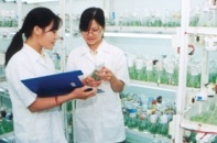 Tạo sân chơi cho công nghệ sinh học