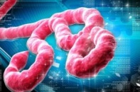 Dịch Ebola: Sẽ miễn phí điều trị nếu có người nhiễm