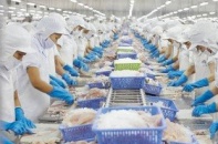 5 cổ phiếu cần quan tâm ngày 15/8