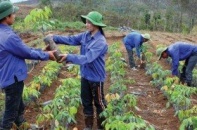 Luật Đầu tư cần hạn chế hướng dẫn