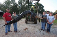 Một gia đình vây bắt cá sấu khổng lồ nặng gần nửa tấn