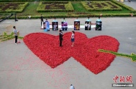 Sốc với chàng trai sử dụng tới 99.999 quả ớt để tỏ tình