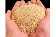 Cảnh giác với yến nhập khẩu giá rẻ bất ngờ
