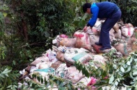 "Quặng tặc" đại náo tại mỏ đất hiếm lớn nhất quốc gia