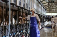 Vinamilk vào Top 100 doanh nghiệp hàng đầu ASEAN 2014