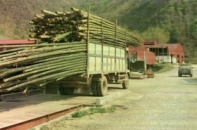Thống Nhất... thống nhất lên sàn