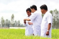 Cổ đông ngoại chen chân vào Bảo vệ Thực vật An Giang
