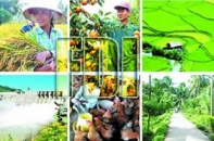 Vốn FDI vào nông nghiệp giảm 30 lần sau 15 năm