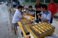 Khó tin quả óc chó bỗng dưng đắt hơn vàng