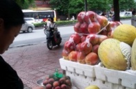 Giám sát chặt chẽ trái cây nhập khẩu