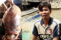 Gặp người bắt được con cá hô khủng nặng gần 130kg