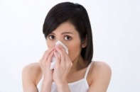 Những dược liệu thiên nhiên trị bệnh cảm cúm