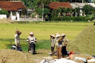 Doanh nghiệp nông nghiệp cần gì?