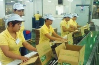 Vinasoy: Cao tay hay chỉ gặp may?