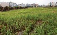 "Sóng ngầm" bán tháo bất động sản