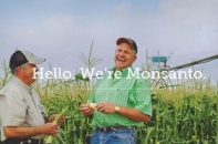 Môi trường làm việc tại Monsanto lý tưởng nhất toàn cầu