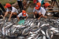 Kiên Giang phát triển mạnh kinh tế biển