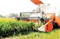 Liên kết xúc tiến đầu tư nông nghiệp Vùng ÐBSCL