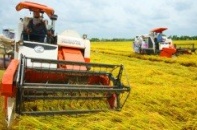 Tái cơ cấu nông nghiệp là yêu cầu cấp bách
