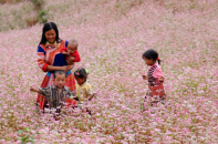 Việt Nam lọt Top 20 quốc gia đáng sống nhất trên thế giới!