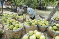 Vĩnh Long rộng cửa đón nhà đầu tư