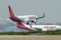 Chuyến bay hoãn khẩn cấp vì máy bay đâm chết trâu