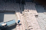 Thu 1 tỷ USD từ xuất khẩu xi măng
