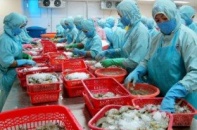 Việt Nam đang trên đà phát triển: Một thông điệp