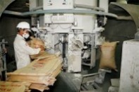 Thị trường xi măng "căng" nhờ chất lượng