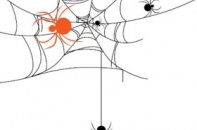 Nới vay CK, BĐS, siết sở hữu chéo ngân hàng