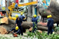 Thu hồi gần 46 tỷ đồng của 4 DN công ích