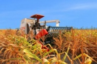 Cần ưu đãi cho DN đầu tư vào nông nghiệp, nông thôn