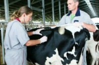 New Zealand muốn cùng Việt Nam tái cơ cấu ngành nông nghiệp